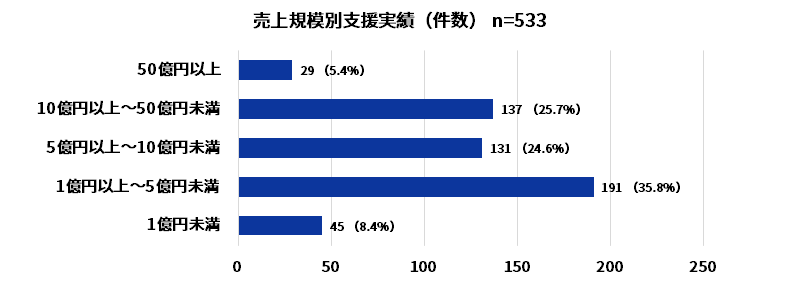 売上規模支援実績